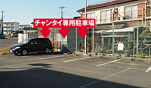 �^�C�Î��}�b�T�[�W�Ⓦ�`�����^�C